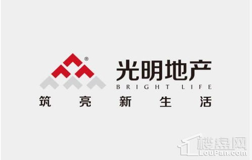 五象湖东大战将起 光明城市新盘入市如何搅弄风云